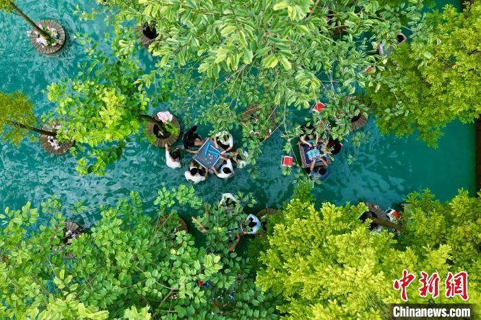 四川成都：高温天气持续 民众体验“水上麻将	”  第4张