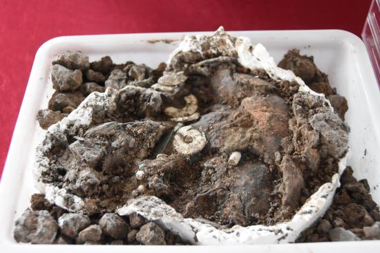 甘肃张掖:平山湖大峡谷群峰耸立 红色砂砾岩层层次清晰  第5张 甘肃张掖:平山湖大峡谷群峰耸立 红色砂砾岩层层次清晰  第5张