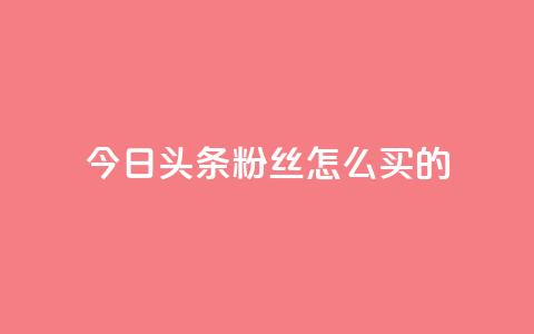 今日头条粉丝怎么买的,1元3万粉丝 - 快手点赞自助平台有 卡盟卡密使用教程  第1张