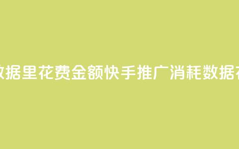 快手推广消耗数据里花费金额(快手推广消耗数据:花费金额大揭秘) 第1张 快手推广消耗数据里花费金额(快手推广消耗数据:花费金额大揭秘) 第1张