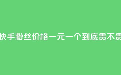 快手粉丝价格一元一个到底贵不贵 第1张 快手粉丝价格一元一个到底贵不贵 第1张