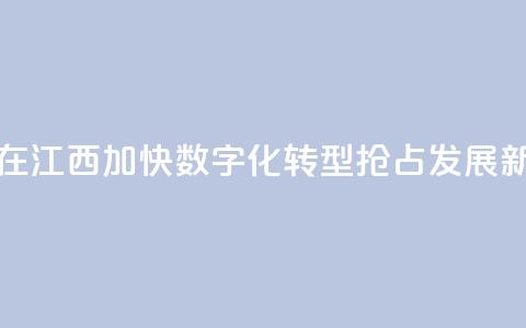台商在江西：加快数字化转型 抢占发展新赛道  第1张