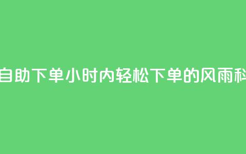 风雨科技24小时自助下单(24小时内轻松下单的风雨科技服务) 第1张 风雨科技24小时自助下单(24小时内轻松下单的风雨科技服务) 第1张