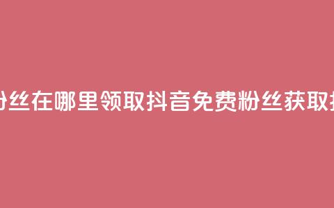 抖音免费粉丝在哪里领取(抖音免费粉丝获取指南)  第1张