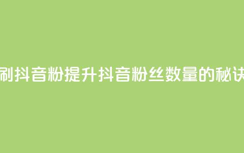 刷抖音粉(提升抖音粉丝数量的秘诀)  第1张