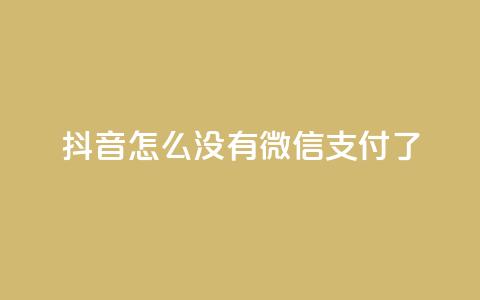 抖音怎么没有微信支付了,24小时收购支付宝实名账号 - 抖音60级号能卖多少钱 低价vip会员发卡网  第1张