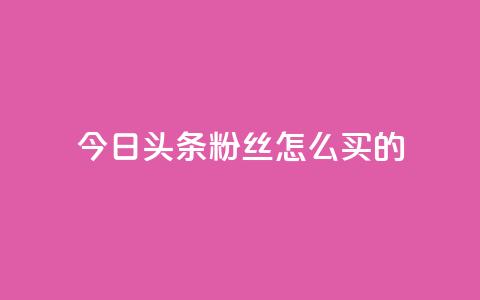 今日头条粉丝怎么买的 - vip影视会员一手货源批发  第1张 今日头条粉丝怎么买的 - vip影视会员一手货源批发  第1张