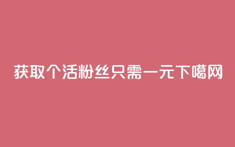 获取1000个活粉丝只需一元  第1张