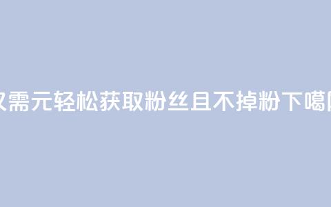 仅需1元轻松获取3000粉丝且不掉粉 第1张 仅需1元轻松获取3000粉丝且不掉粉 第1张