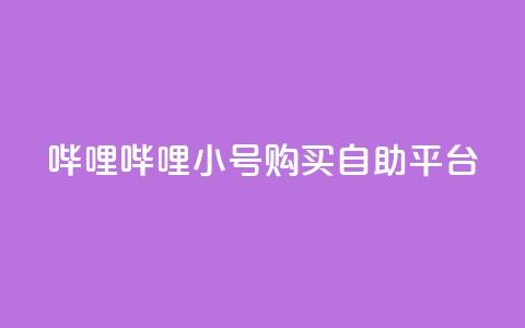 哔哩哔哩小号购买自助平台,低价买王者点券的平台 - qq点赞被限制了怎么解除 低价网上商城快手一百赞  第1张