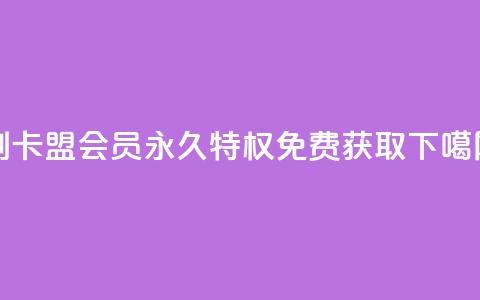 刷卡盟QQ会员永久特权 - 免费获取  第1张