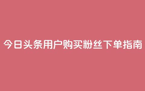 今日头条用户购买粉丝下单指南  第1张 今日头条用户购买粉丝下单指南  第1张