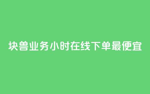 块兽业务24小时在线下单最便宜 - qq业务低价自助下单平台网站  第1张