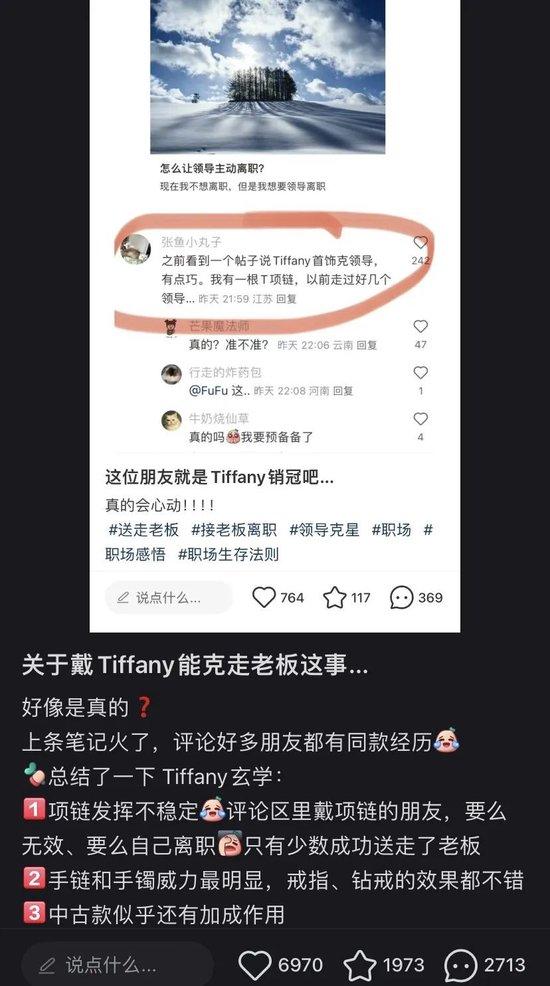 梵克雅宝全球涨价，为什么大家通宵排队买？  第33张