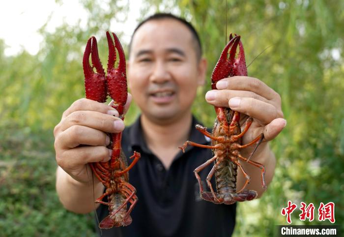 （乡村行·看振兴）“鲜	”到盐碱地 吉林西部“虾兵蟹将”有大作为  第3张