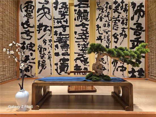 首款骁龙8 Gen3小折叠 三星Galaxy Z Flip6手机评测  第29张