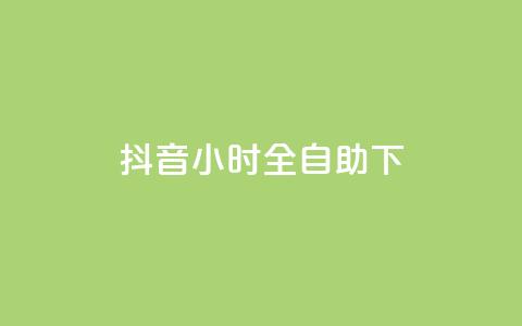 抖音24小时全自助下,快手免费涨赞涨评论软件 - qq24小时自助下单全网最低价 快手10000播放量能拿多少钱  第1张
