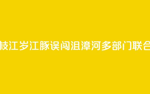湖北枝江:2岁江豚误闯沮漳河 多部门联合救援 第1张 湖北枝江:2岁江豚误闯沮漳河 多部门联合救援 第1张