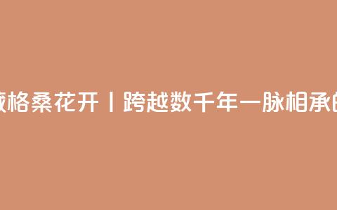 寻觅西藏 格桑花开丨跨越数千年一脉相承的藏医药 第1张 寻觅西藏 格桑花开丨跨越数千年一脉相承的藏医药 第1张