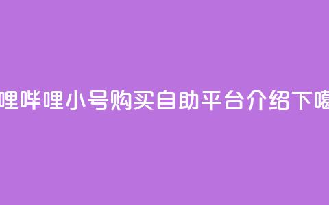 哔哩哔哩小号购买自助平台介绍 第1张 哔哩哔哩小号购买自助平台介绍 第1张