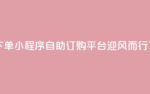 自助下单小程序 - 自助订购平台迎风而行!  第1张