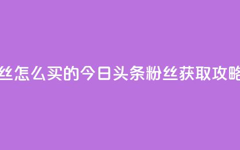 今日头条粉丝怎么买的 - 今日头条粉丝获取攻略分享!  第1张 今日头条粉丝怎么买的 - 今日头条粉丝获取攻略分享!  第1张