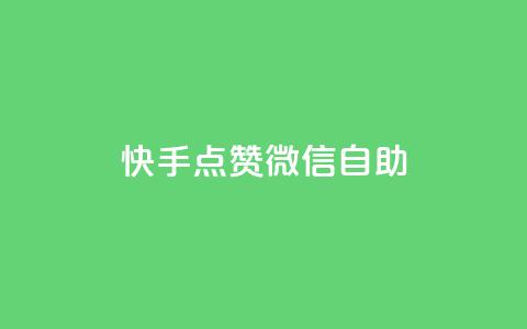 快手点赞微信自助 - 快手点赞与微信自助操作全指南!  第1张 快手点赞微信自助 - 快手点赞与微信自助操作全指南!  第1张