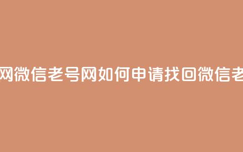 51微信老号网 - 51微信老号网如何申请找回微信老号~ 第1张 51微信老号网 - 51微信老号网如何申请找回微信老号~ 第1张