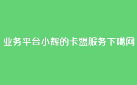 qq业务平台小辉的卡盟服务  第1张