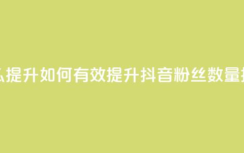 抖音有效粉丝怎么提升 - 如何有效提升抖音粉丝数量技巧大揭秘~ 第1张 抖音有效粉丝怎么提升 - 如何有效提升抖音粉丝数量技巧大揭秘~ 第1张
