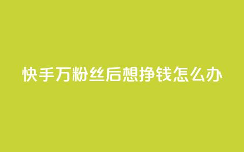 快手1万粉丝后想挣钱怎么办 - 如何在快手1万粉丝后实现收入？！  第1张