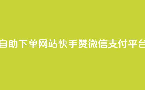 dy小时全自助下单网站 - 快手赞微信支付平台  第1张
