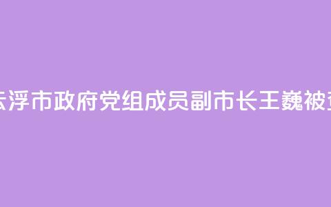 广东省云浮市政府党组成员、副市长王巍被查  第1张