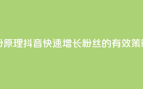 抖音快速吸粉原理 - 抖音快速增长粉丝的有效策略揭秘! 第1张 抖音快速吸粉原理 - 抖音快速增长粉丝的有效策略揭秘! 第1张