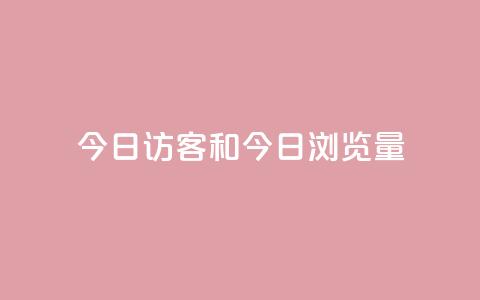 今日访客和今日浏览量,网红商城快手业务24小时营业 - pdd提现700套路最后一步 全网最低价业务网站  第1张