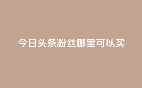 今日头条粉丝哪里可以买 - 在哪里可以购买今日头条粉丝?! 第1张 今日头条粉丝哪里可以买 - 在哪里可以购买今日头条粉丝?! 第1张