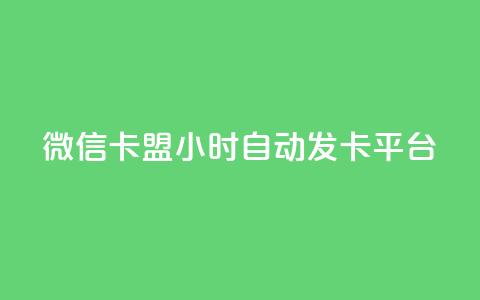 微信卡盟24小时自动发卡平台 - 24小时自动发卡，助力微信卡盟!  第1张