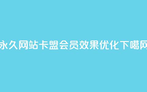 永久网站卡盟会员效果优化  第1张