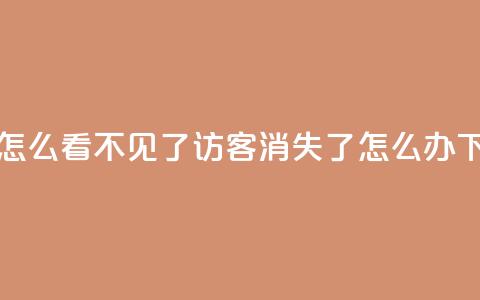 qq访客怎么看不见了 - qq访客消失了怎么办!  第1张