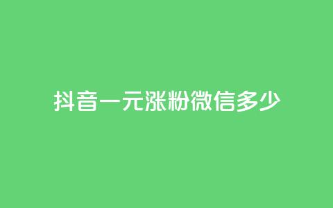 抖音一元涨粉1000微信多少 - 千叶卡盟 第1张 抖音一元涨粉1000微信多少 - 千叶卡盟 第1张