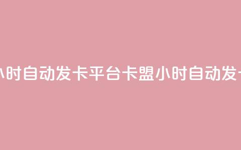 cf卡盟24小时自动发卡平台(CF卡盟24小时自动发卡服务)  第1张