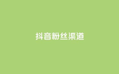 抖音粉丝渠道 - 抖音粉丝获取的途径有哪些?~  第1张 抖音粉丝渠道 - 抖音粉丝获取的途径有哪些?~  第1张