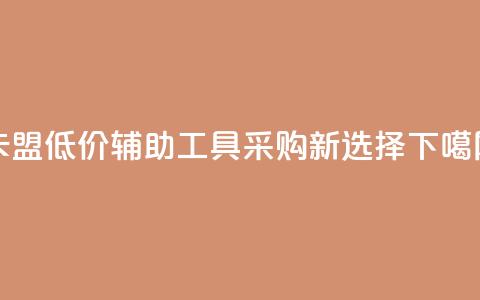 卡盟低价辅助工具采购新选择  第1张