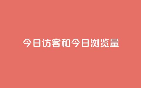 今日访客和今日浏览量,网红商城快手业务24小时营业 - pdd提现700套路最后一步 全网最低价业务网站  第1张