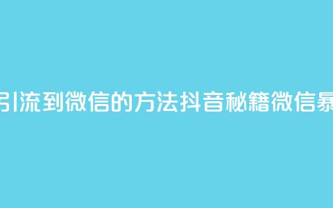 抖音最新引流到微信的方法(抖音秘籍 微信暴增好办法)  第1张