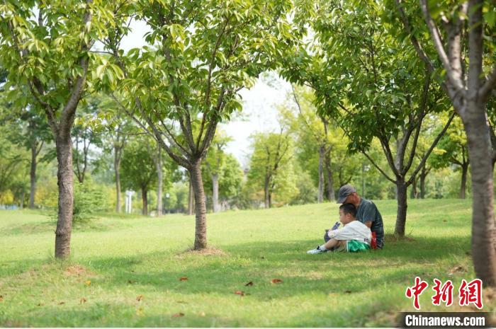 “马鞍山长江保护日”的绿色承诺与行动  第3张