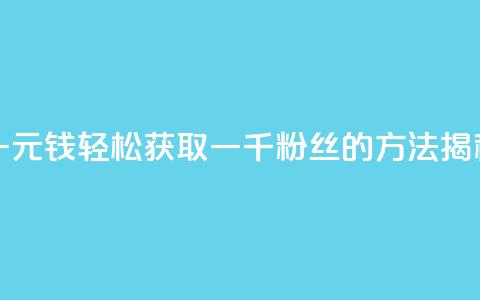 一元钱轻松获取一千粉丝的方法揭秘 第1张 一元钱轻松获取一千粉丝的方法揭秘 第1张