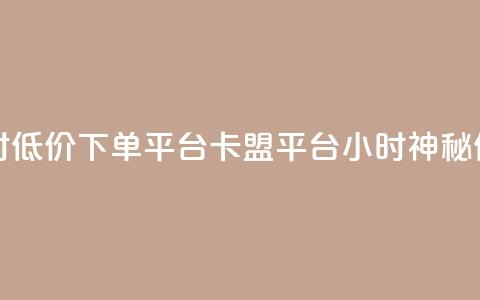 卡盟24小时低价下单平台(卡盟平台24小时神秘低价下单)  第1张