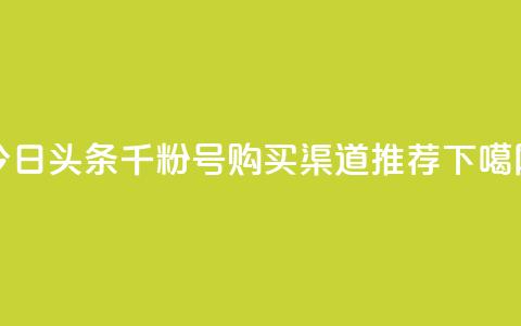 今日头条千粉号购买渠道推荐 第1张 今日头条千粉号购买渠道推荐 第1张