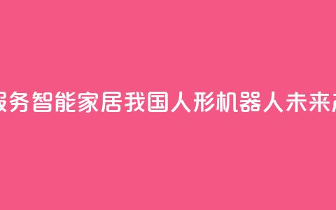 真实家庭服务、智能家居……我国人形机器人未来产业正成长  第1张
